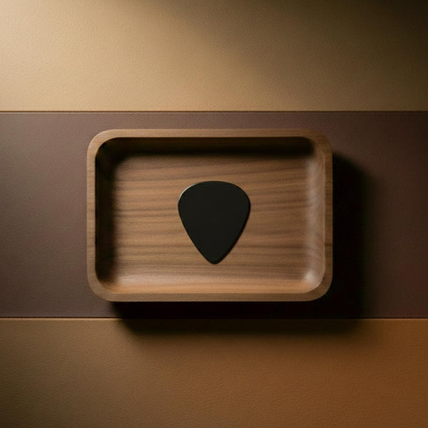 Solid black agate stone guitar pick with a polished smooth finish resting in a wooden accessory organizer.